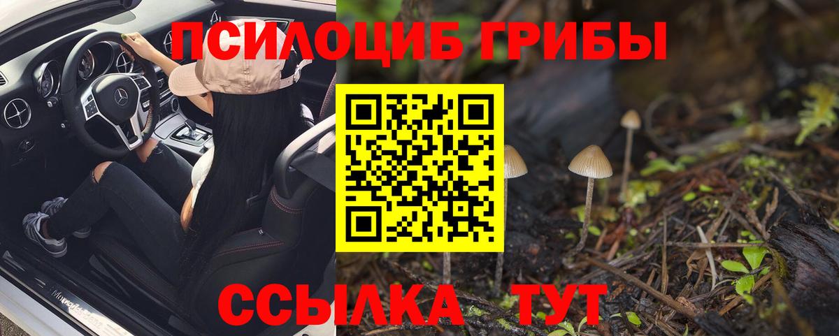 Орёл  Галлюциногенные грибы Psilocybine cubensis  Вход с VPN 